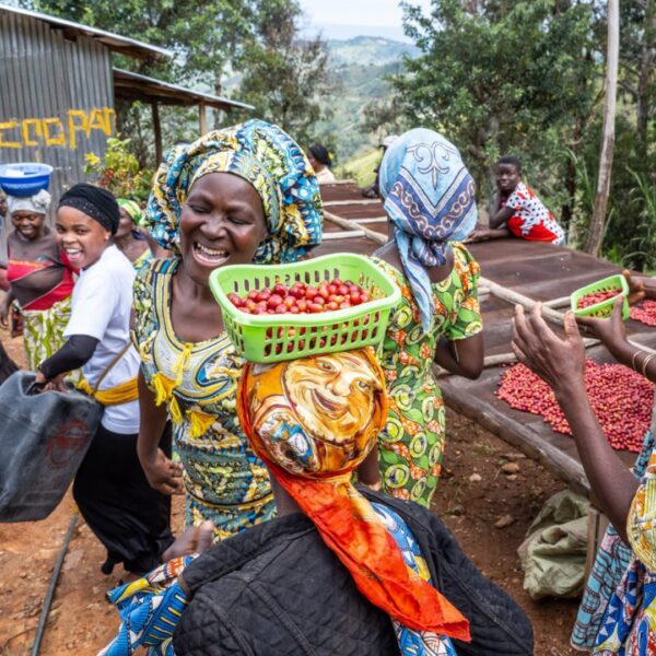 DR Congo Organic Vughole Women's Group 👩🏾‍🌾