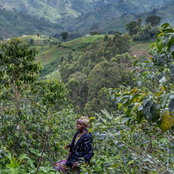 DR Congo Organic Vughole Women's Group 👩🏾‍🌾